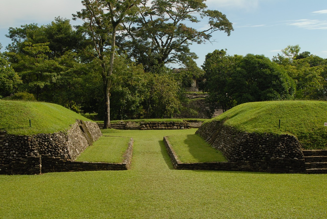 The Enigma of the Ancient Maya's Political Systems